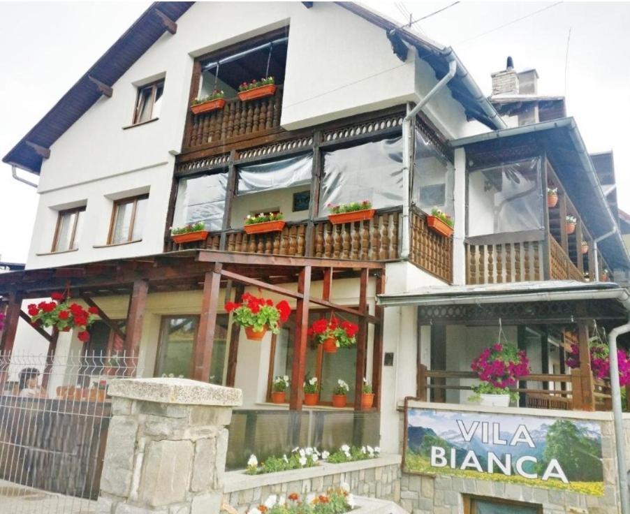 Vila Bianca Buşteni 外观 照片